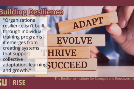 Building Resilience